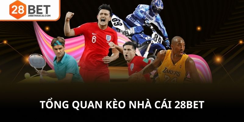 Tổng quan kèo nhà cái 28bet