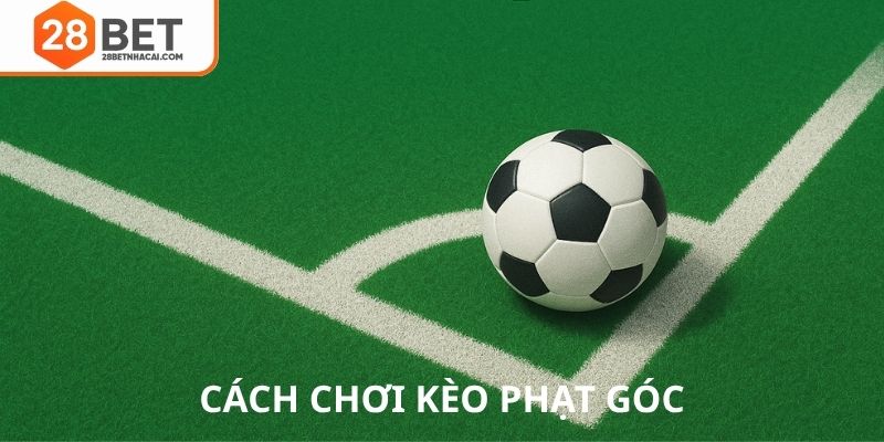 Cách chơi kèo phạt góc 28bet dễ hiểu
